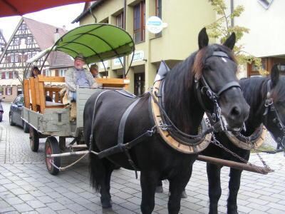 verkaufsoffener_sonntag_metzingen_boerner_oktober_2009_#_48 (jpg)