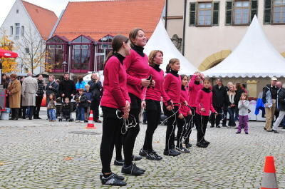 verkaufsoffener_sonntag_metzingen_oktober2009_5 (jpg)