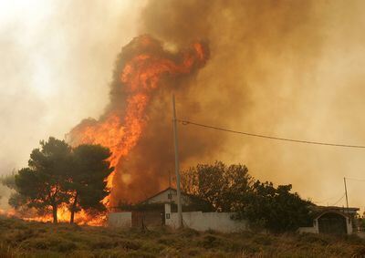 brand_in_athen_August_2009_dpa_12 (jpg)