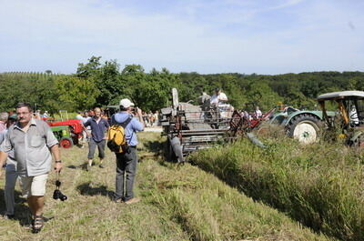 oldtimer_beuren_august2009_11 (jpg)