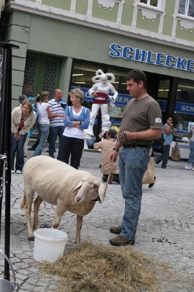 heimattage_bawue_sozial_anstaedt_32 (JPG)