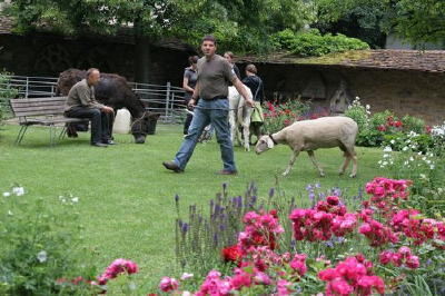 heimattage_bawue_sozial_anstaedt_45 (JPG)