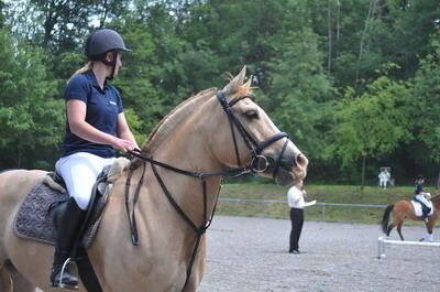 50_jahre_reitverein_reutlingen_trinkhaus_7 (jpg)