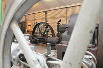 heimattage_baden-wuerttemberg_schafft_13.06.09_trinkhaus_33 (jpg)