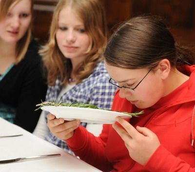 schloss_sigmaringen_minikoeche_mai_2009_pacher_13 (jpg)