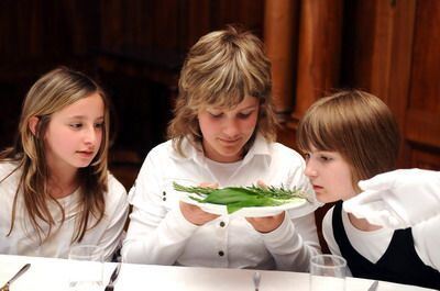 schloss_sigmaringen_minikoeche_mai_2009_pacher_8 (jpg)