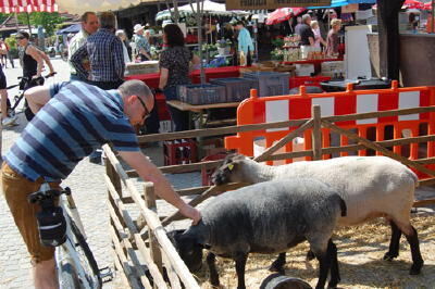 regionalmarkt_metzingen_mai2009 (jpg)