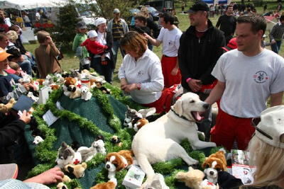 dampfmaschinenfest_dottingen_mai_2009_32 (jpg)