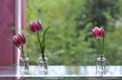 kaffeehaeusle_25_jahre_2009_trinkhaus_8 (jpg)