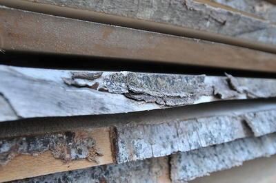 roewa_moessingen_maerz2009_trinkhaus_9 (jpg)