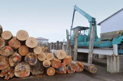 roewa_moessingen_maerz2009_trinkhaus_3 (jpg)