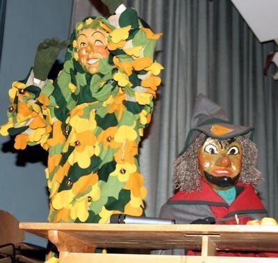 zunftball_rommelsbach_februar_2009_16 (jpg)