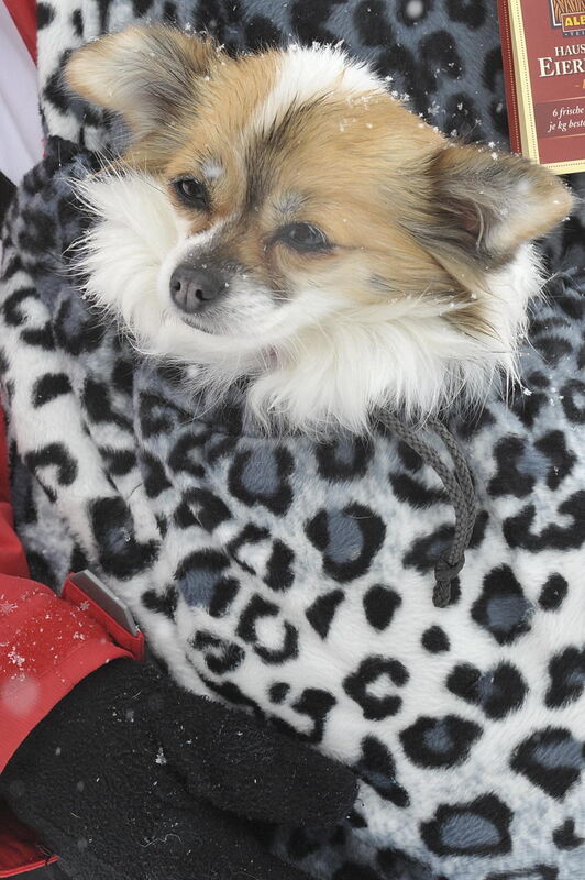 12. Sternbergpokal Gomadingen 2010