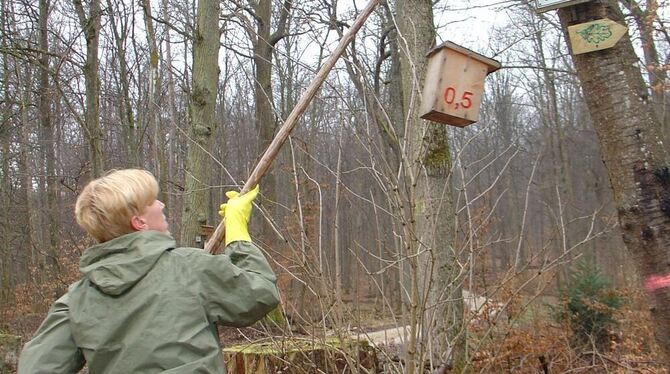Die Nistkästen im Maienwald bieten Meisen Unterschlupf und zeigen Läufern den Kilometerstand an.  FOTO: PR