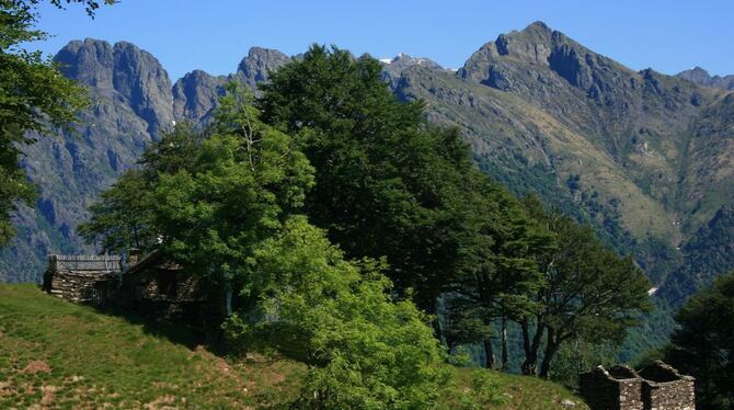 Das Val Grande ist seit Jahrzehnten von Menschen verlassen. Inzwischen hat sich der italienische Naturpark zu einem anspruchsvol