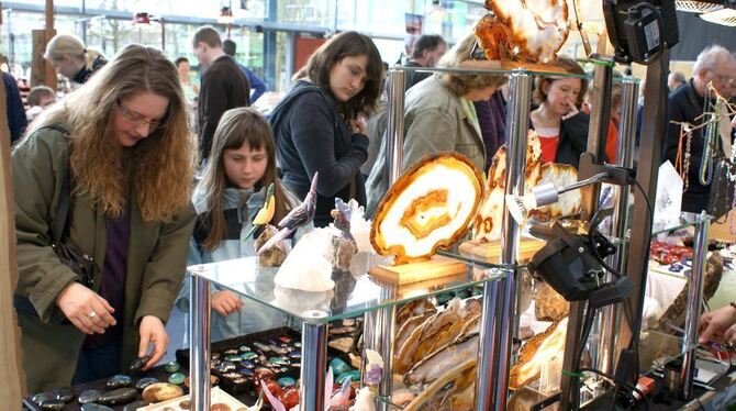 Immer am Palmsonntag, aber zum ersten Mal an neuem Ort: die Mineralien- und Fossilienbörse in der Wittumhalle.  FOTO: STÖRK