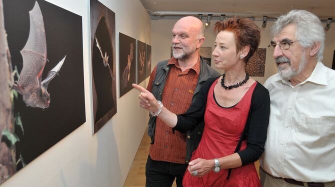 Museumsleiterin Dr. Barbara Karwatzki kann sich wieder über eine attraktive Sonderausstellung freuen: Die Arbeiten von Dietmar N Museumsleiterin Dr. Barbara Karwatzki kann sich wieder über eine attraktive Sonderausstellung freuen: Die Arbeiten von Dietmar N