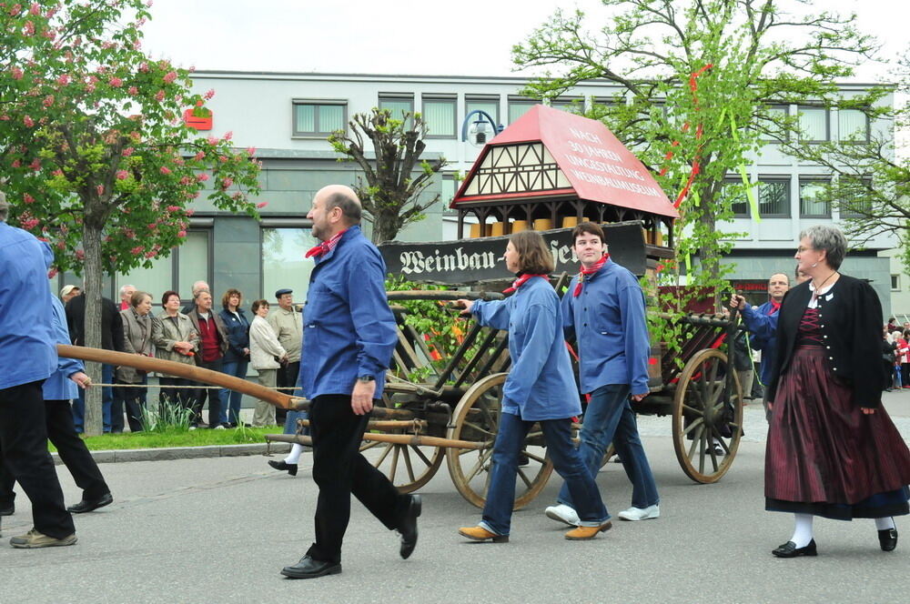 erms_landesmusikfest_2010_meyer50 (jpg)