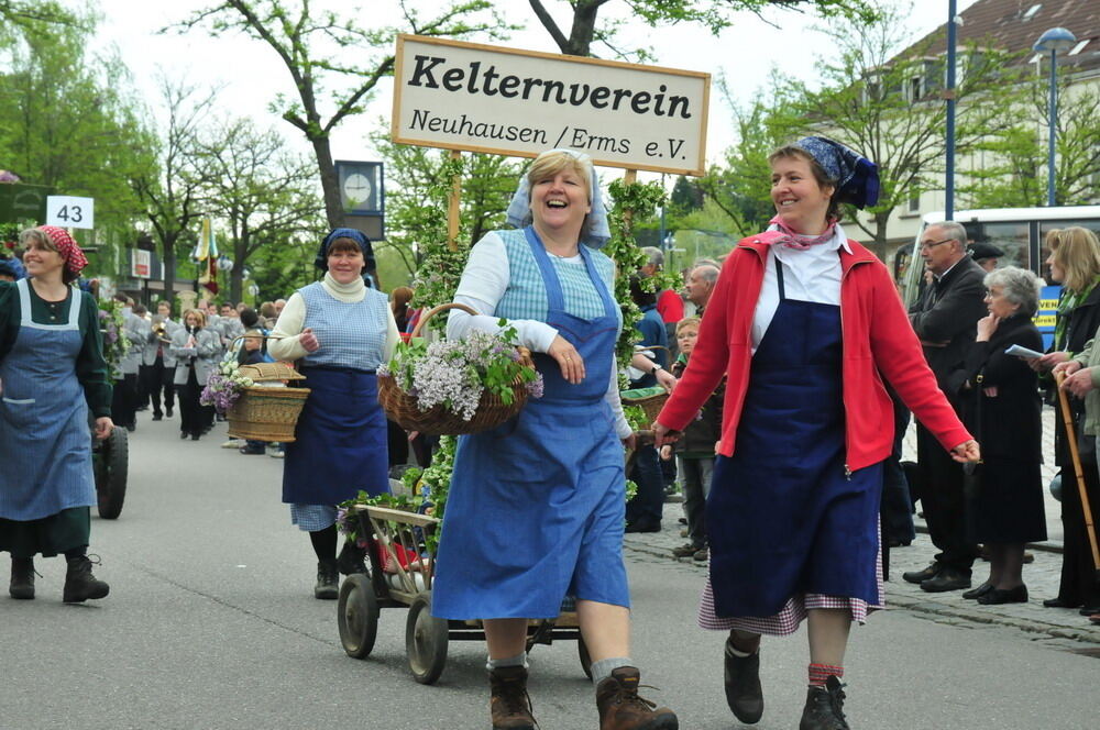 erms_landesmusikfest_2010_meyer61 (jpg)