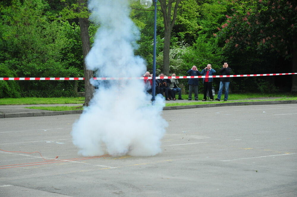 erms_landesmusikfest_2010_meyer12 (jpg)