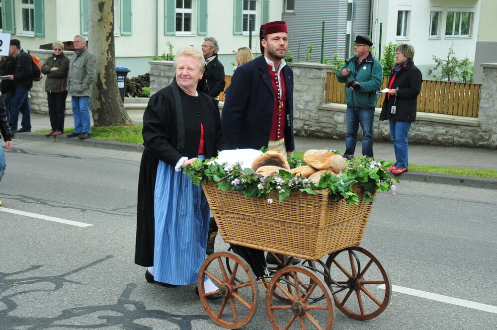 erms_landesmusikfest_2010_meyer35 (jpg)