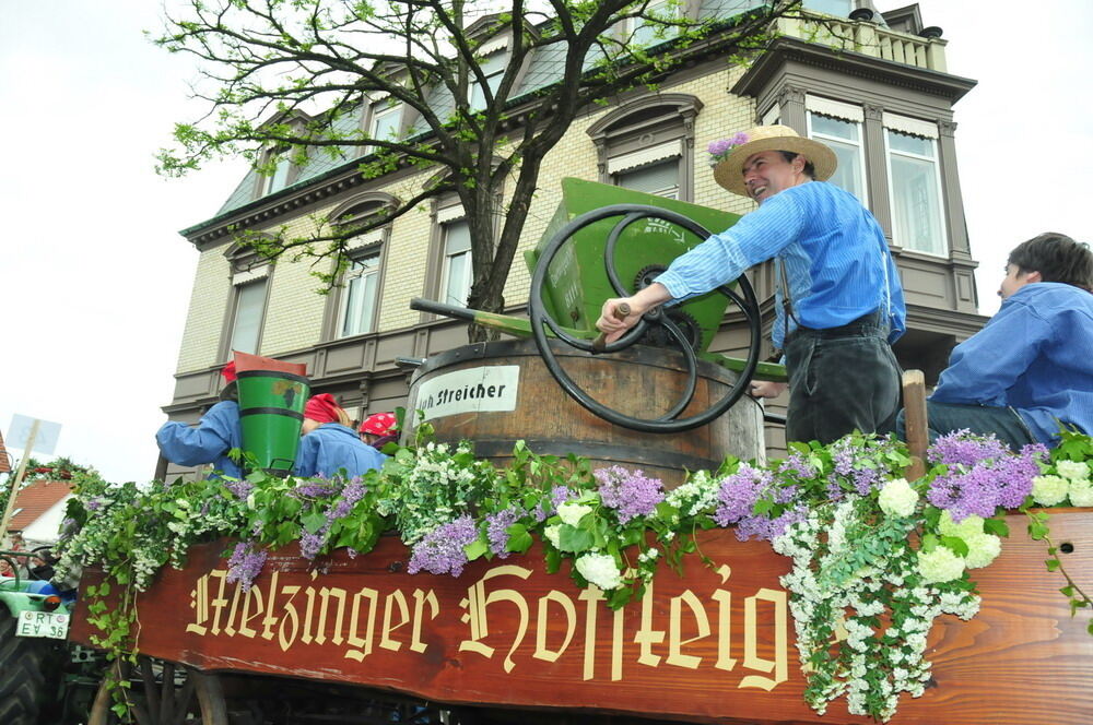 erms_landesmusikfest_2010_meyer64 (jpg)