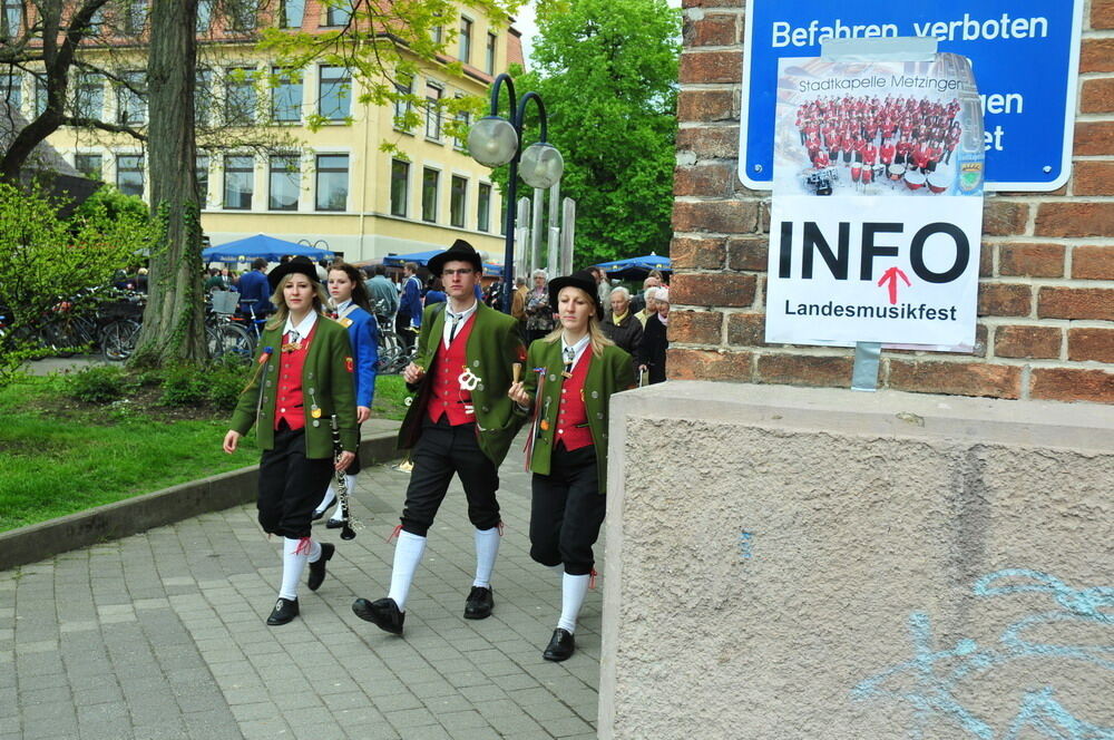 erms_landesmusikfest_2010_meyer9 (jpg)