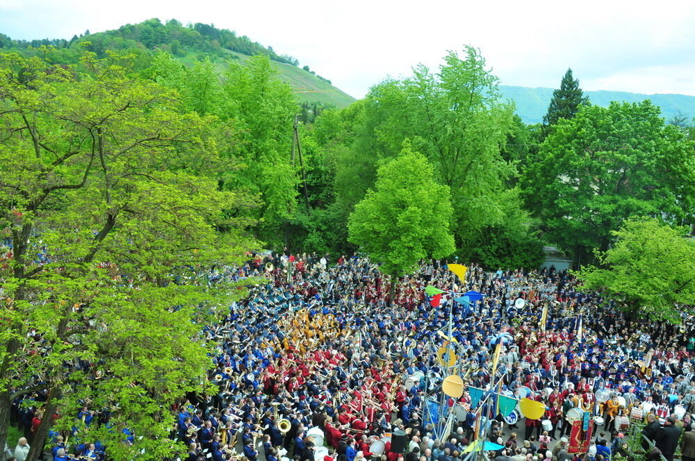 erms_landesmusikfest_2010_meyer5 (jpg)