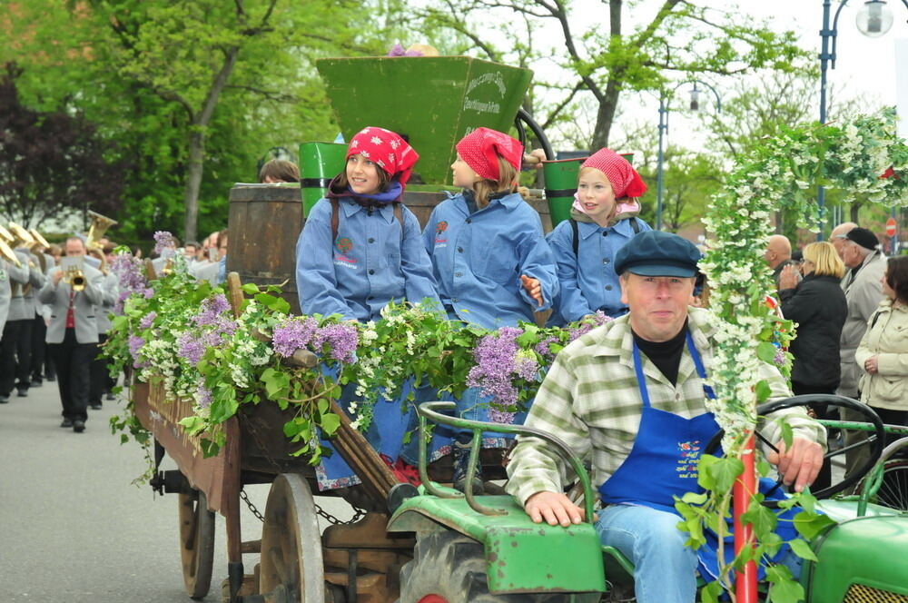 erms_landesmusikfest_2010_meyer62 (jpg)