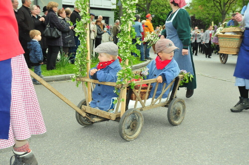 erms_landesmusikfest_2010_meyer63 (jpg)