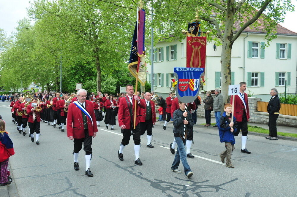 erms_landesmusikfest_2010_meyer28 (jpg)