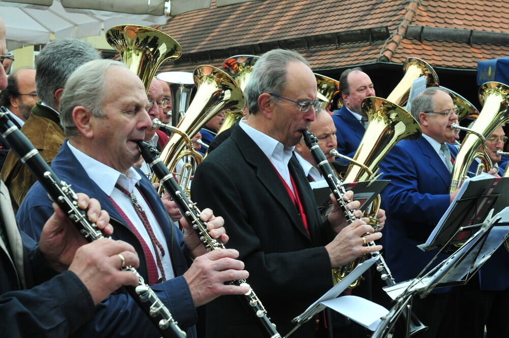 erms_landesmusikfest_2010_meyer_neu6 (jpg)