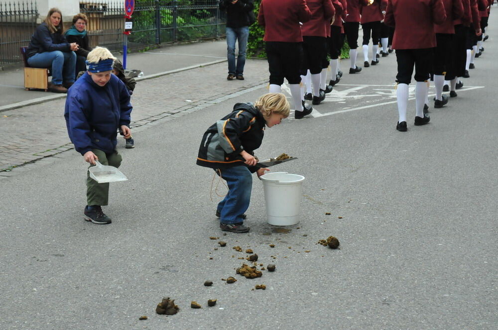 erms_landesmusikfest_2010_meyer_neu41 (jpg)