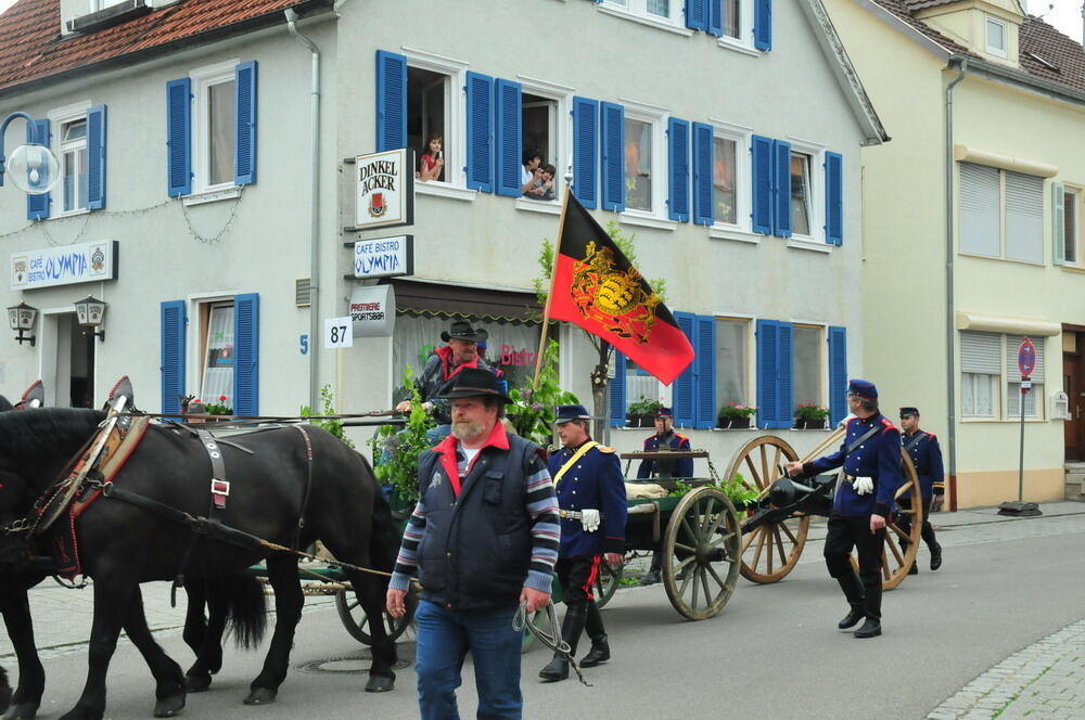 erms_landesmusikfest_2010_meyer_neu37 (jpg)