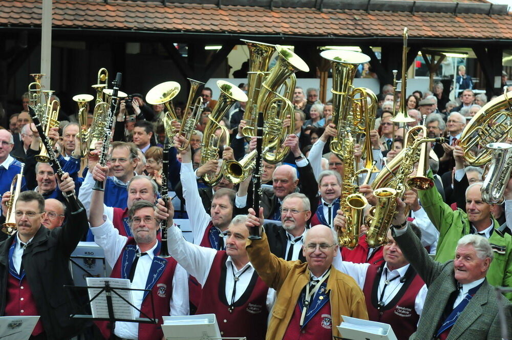 erms_landesmusikfest_2010_meyer_neu10 (jpg)