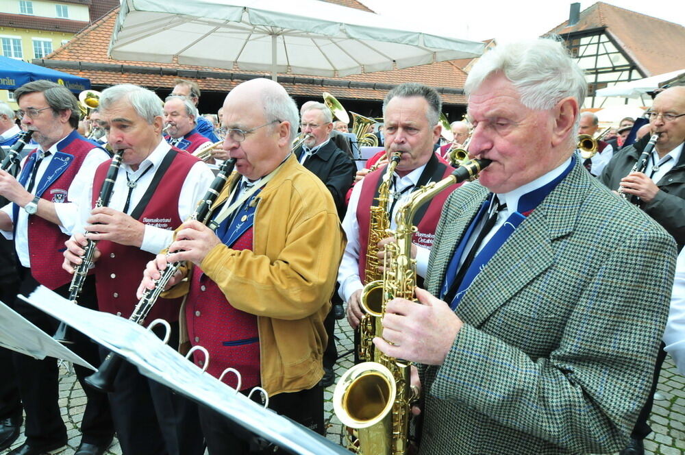 erms_landesmusikfest_2010_meyer_neu8 (jpg)