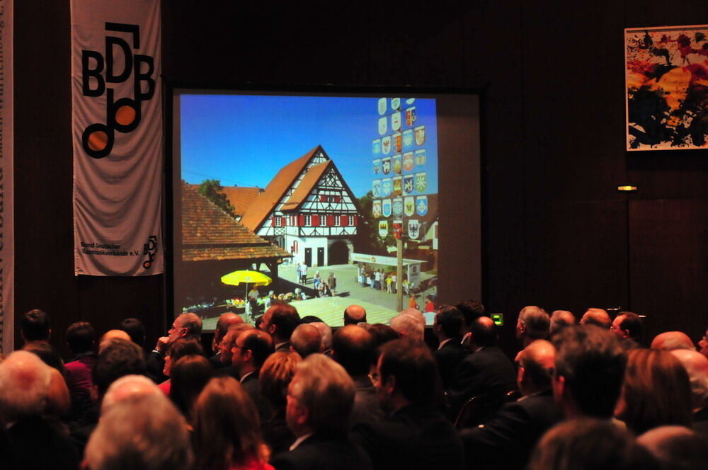 erms_landesmusikfest_2010_meyer_neu15 (jpg)