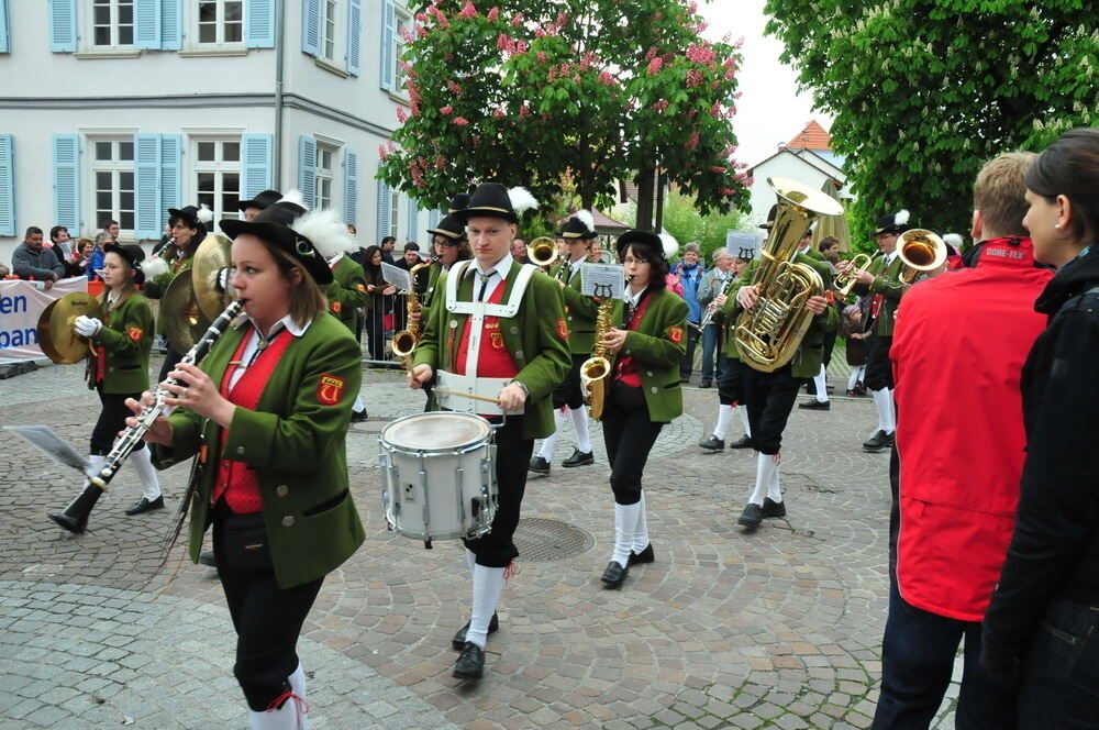 erms_landesmusikfest_2010_meyer_neu38 (jpg)