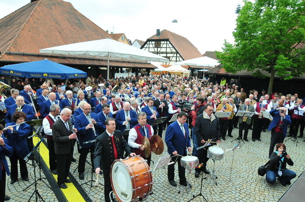 erms_landesmusikfest_2010_meyer_neu4 (jpg)