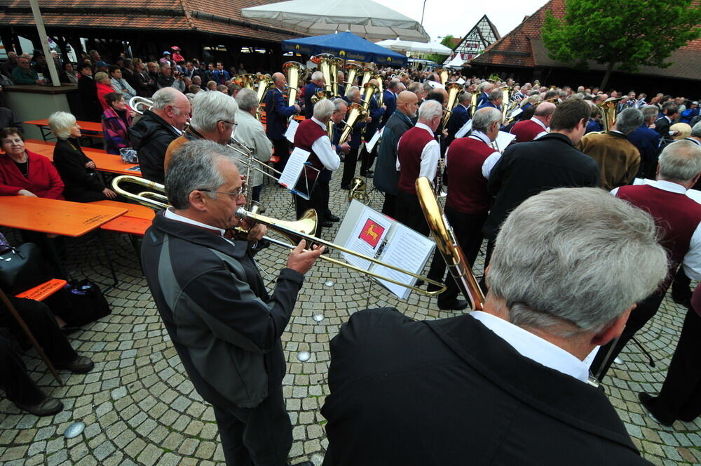 erms_landesmusikfest_2010_meyer_neu5 (jpg)