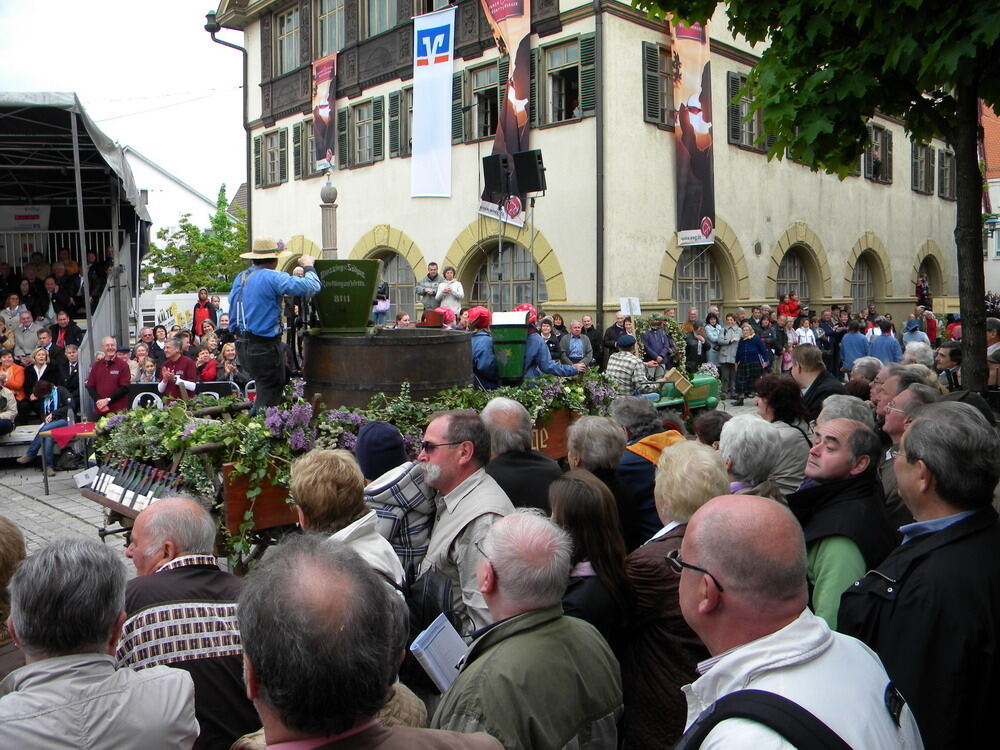 erms_landesmusikfest_2010_keller6 (jpg)