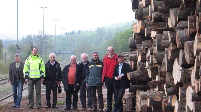 Über achtzig Lastwagenladungen Holz auf die Schiene zu bringen, bedeutet einen großen logistischen Aufwand. GEA-FOTO: DEWALD
