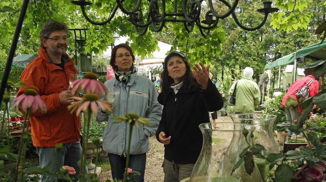 Romantisch auch bei Regen: Die »Garten Träume« sind bis Sonntag in der alten Baumschule Undingen zu erleben. FOTO: BAIER Romantisch auch bei Regen: Die »Garten Träume« sind bis Sonntag in der alten Baumschule Undingen zu erleben. FOTO: BAIER