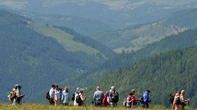 Eine Wandergruppe zieht durch die grüne Hügellandschaft des Südschwarzwalds.