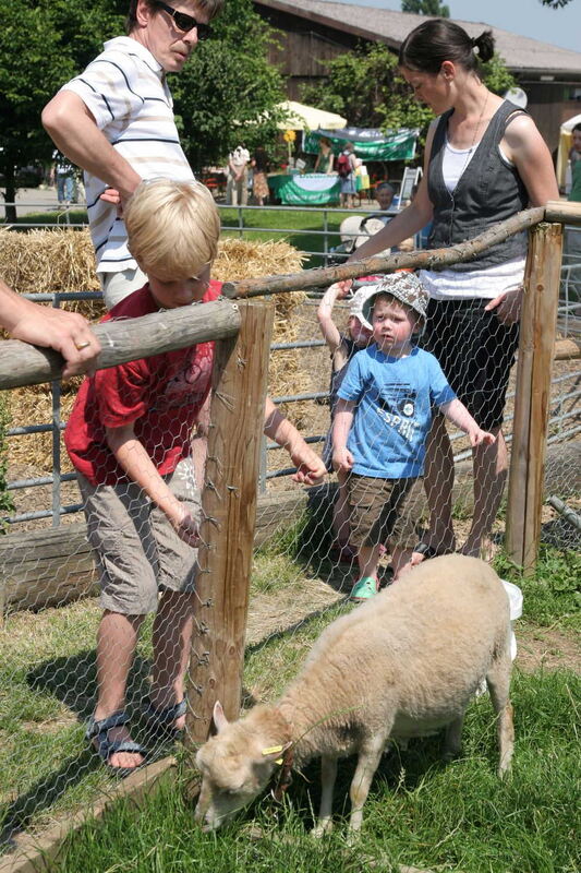 stadt_bruderhausdiakonie_jahresfest_juni2010_10 (jpg)