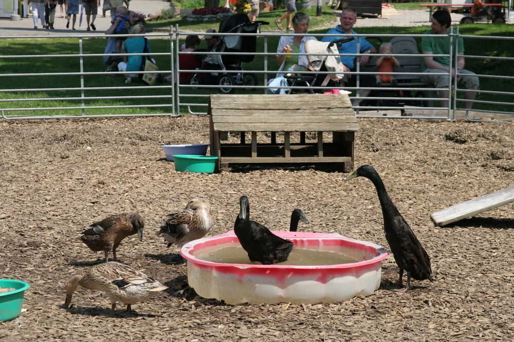 stadt_bruderhausdiakonie_jahresfest_juni2010_11 (jpg)