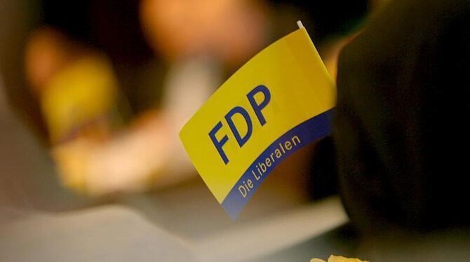 Die FDP sucht Wege aus ihrem Umfragetief.