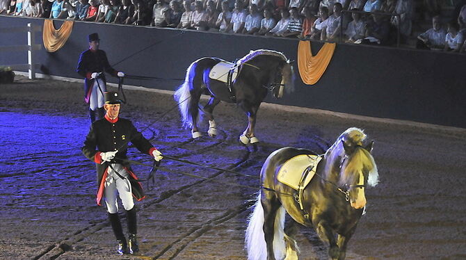 Marbach Classics 2010 Marbach Classics 2010