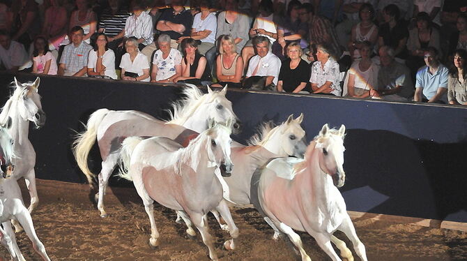 Marbach Classics 2010