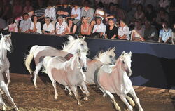 Marbach Classics 2010